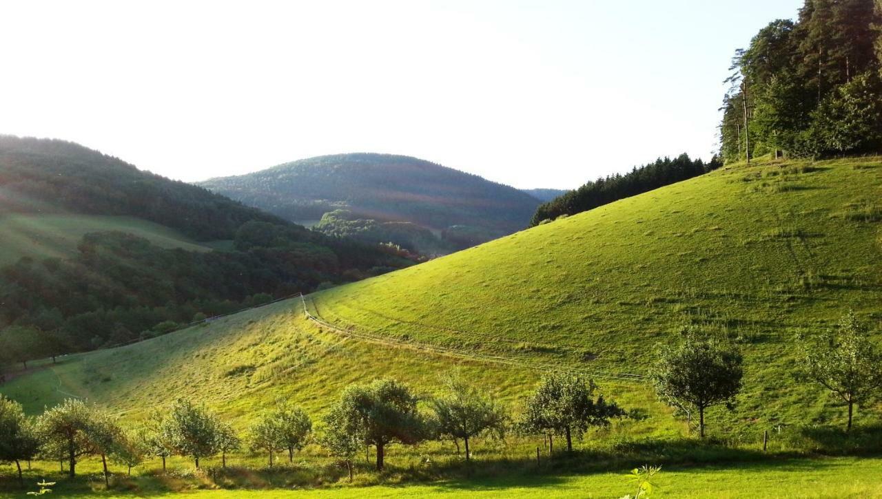 דירות Heiligkreuzsteinach UrlaubsRaum מראה חיצוני תמונה