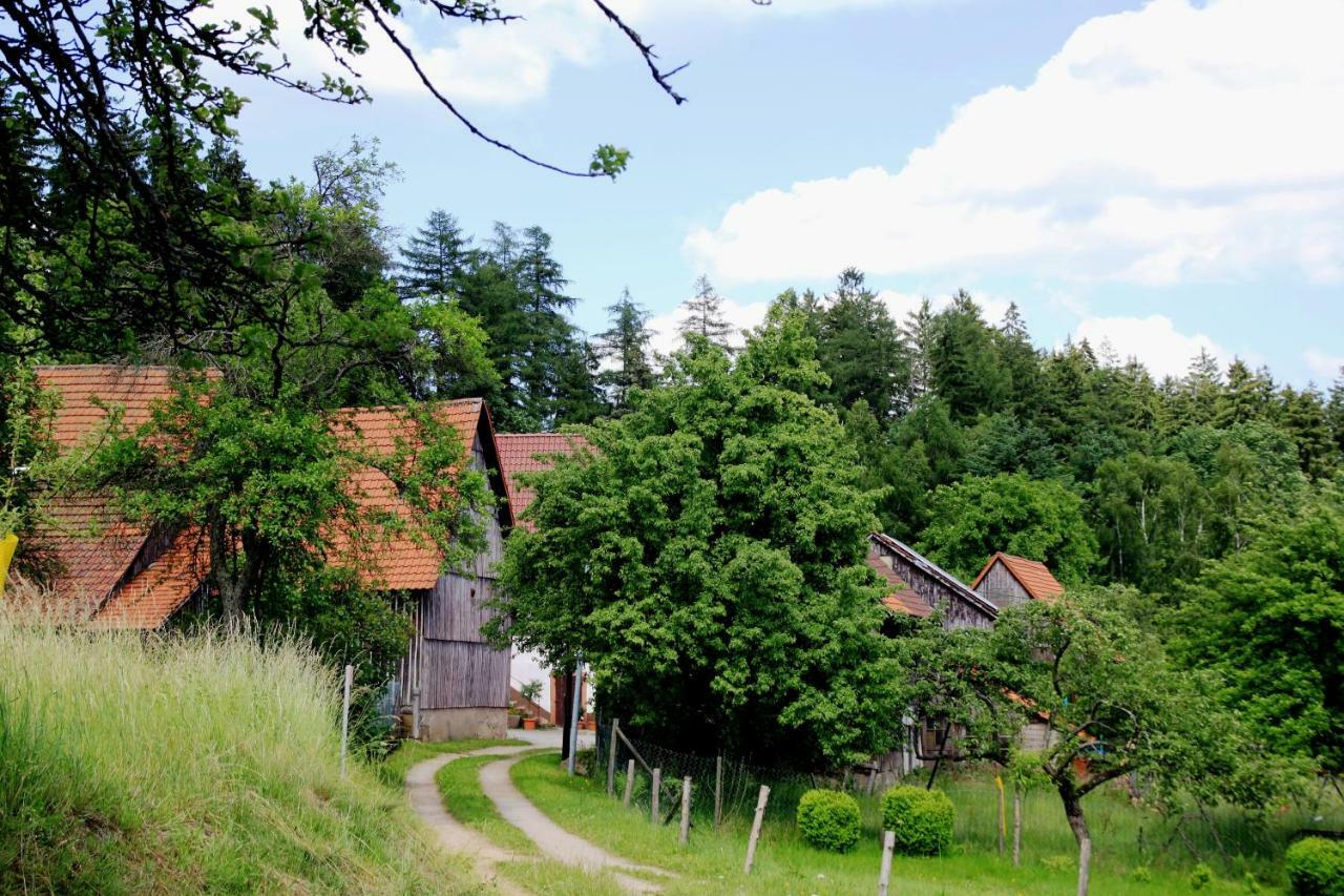 דירות Heiligkreuzsteinach UrlaubsRaum מראה חיצוני תמונה